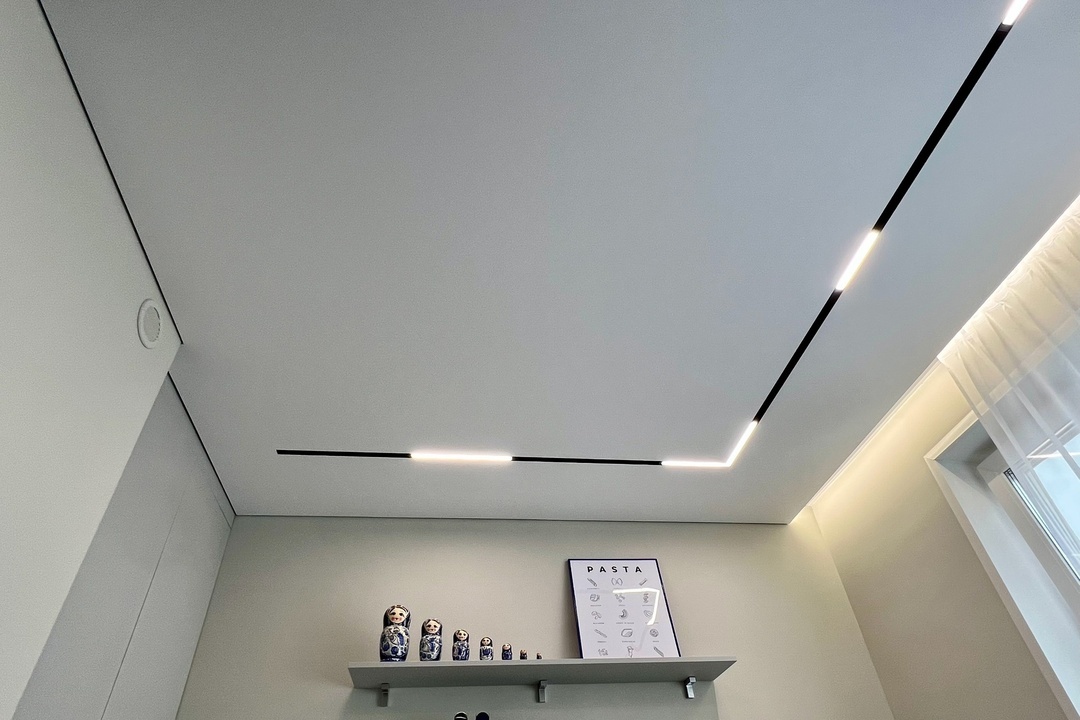 Трековая система + теневой профиль