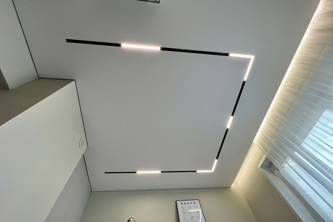 Трековая система + теневой профиль